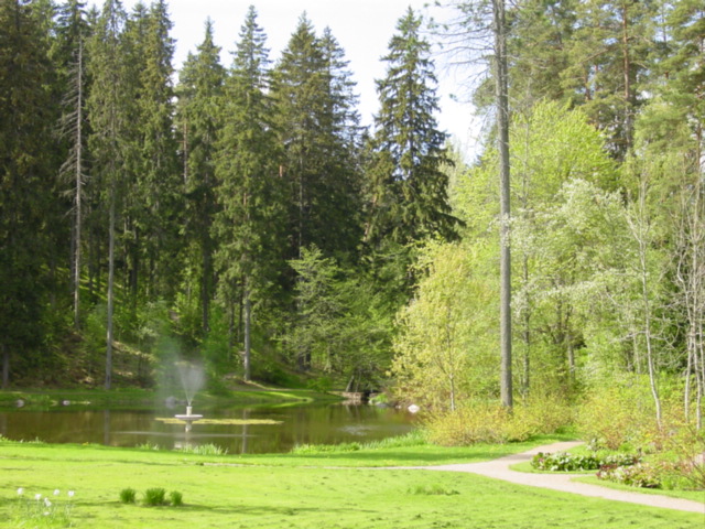 Huovilan puiston lampi taustanaan Hiidenmäki. Minna Pesu 2006