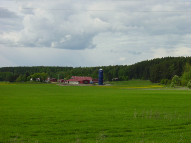 Yttälän entisen ratsutilan talouskeskus Vähä-Äiniön kylän viljelyaukean laidalla. Minna Pesu 2006