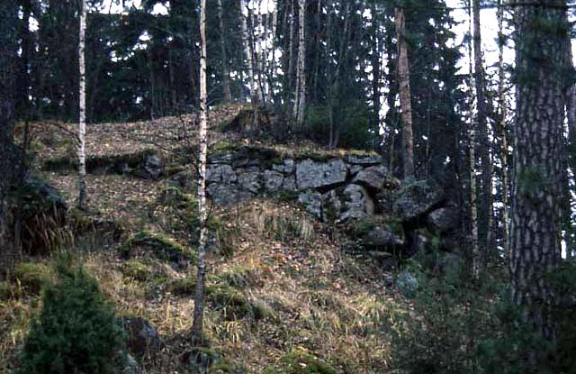 Ahvenkosken redutti. Ulla-Riitta Kauppi 1989