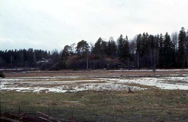 Sibbesborgin keskiaikainen linnasaari Sipoonjokisuussa. Elias Härö 1972