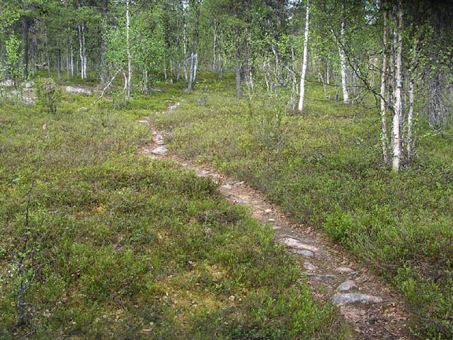Ruijanpolku Sompiojärvellä. Lapin kulttuuriympäristöt tutuksi -hanke 2005