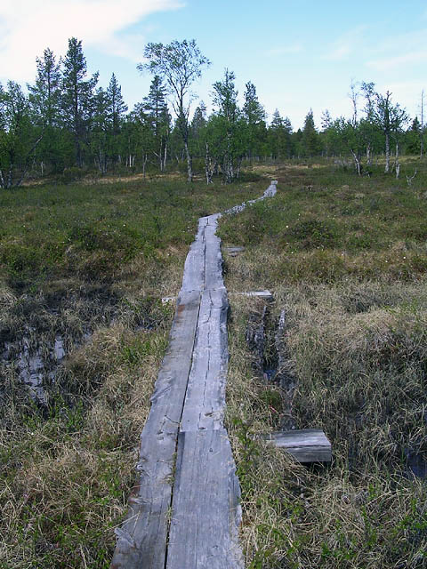 Ruijanpolkua välillä Kiilopää-Sompiojärvi. Lapin kulttuuriympäristöt tutuksi -hanke 2005