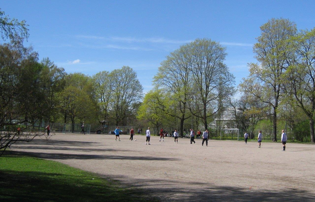 Kaisaniemen puiston koivukujanteen viereinen pelikenttä. Hilkka Högström 2012