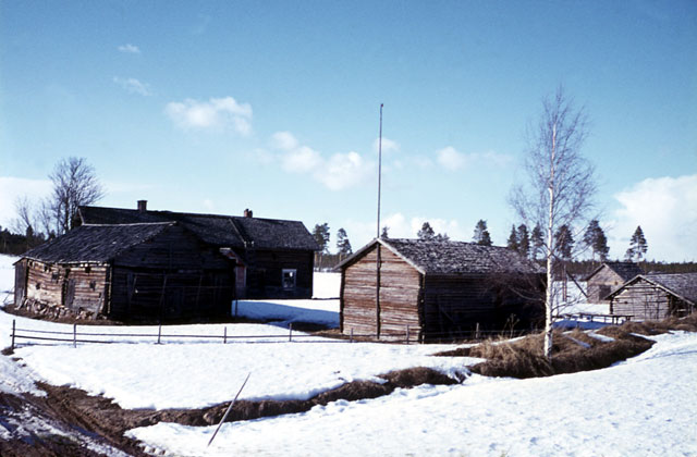 Honkakosken tila. Elias Härö 1980