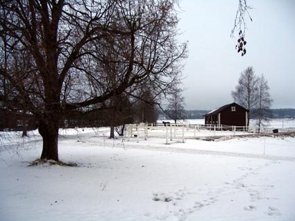 Kartanon talouspihan laidalla oleva aitta. Henrik Wager 2004