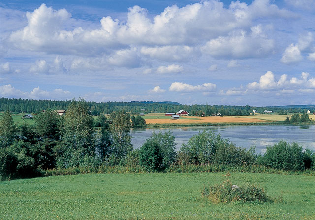 Leppälahden ja Kuivaniemen kylämaisemaa Maaningalla. Soile Tirilä 2000