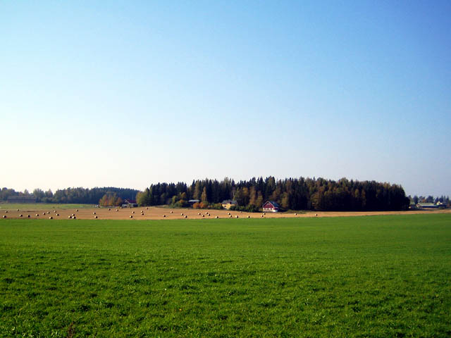 Vanjärven asutuskylän viljelymaisemaa. Johanna Forsius 2007