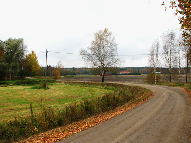 Kylätie ja viljelysmaisemaa Raijalan kylässä. Timo-Pekka Heima 2007