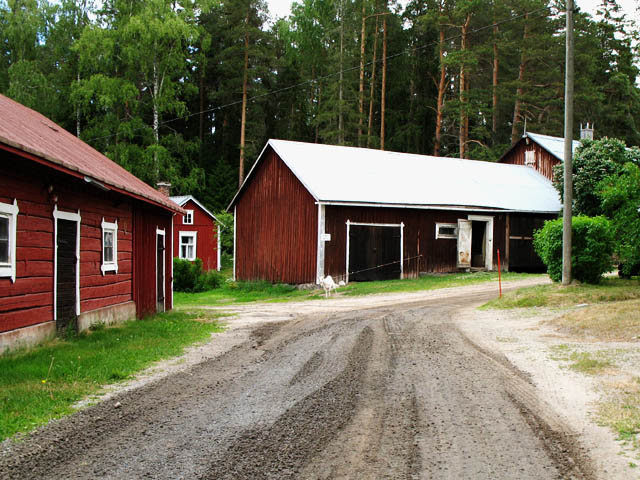 Talousrakennuksia Storsandsundin kylässä Pedersöressä. Tuija Mikkonen 2006