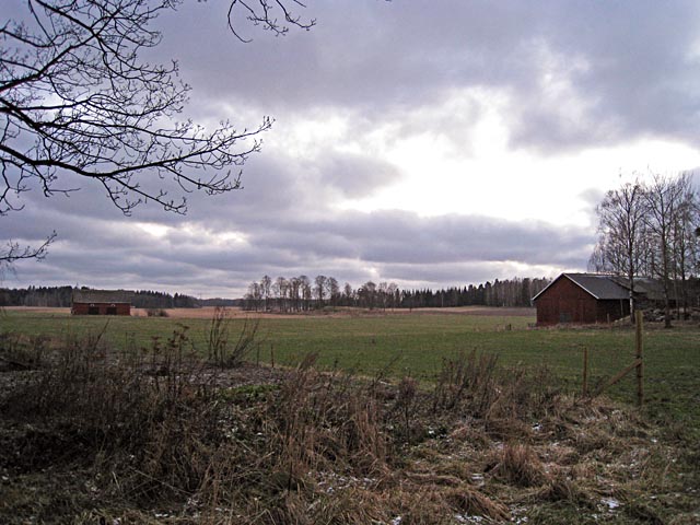 Viikin opetus- ja koetilan maatalousmaisemaa. Hilkka Högström 2008