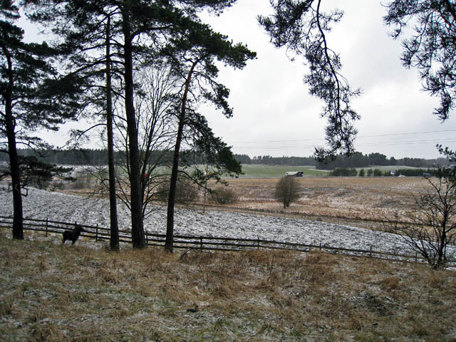 Kuralan kylämäki, maisemaa rautakautisella kalmistolla. Hilkka Högström 2008