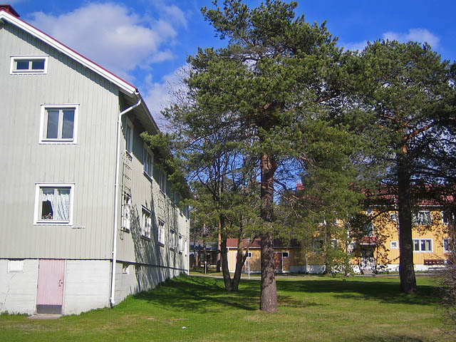 Karihaaran tehdasyhdyskunta, Mäntylän asuinaluetta. Johanna Forsius 2008